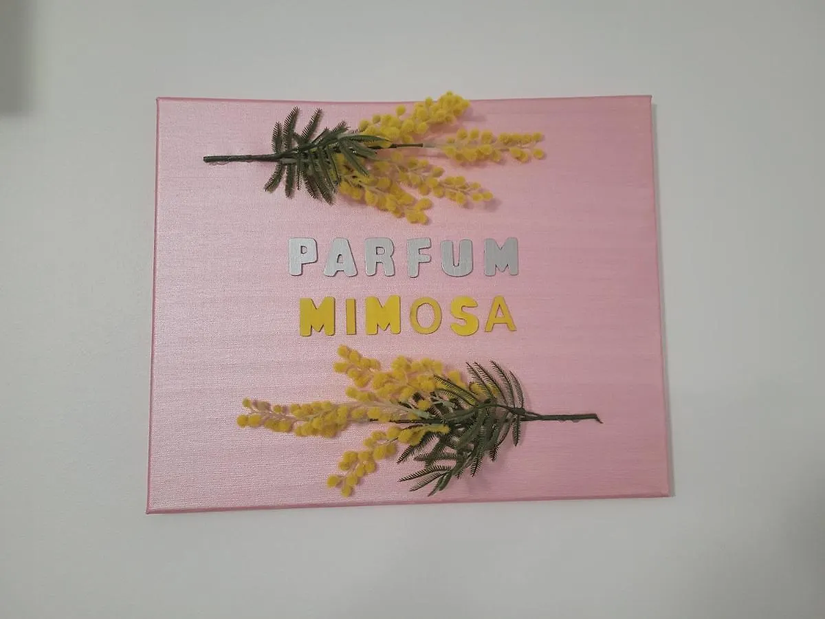 Appartamento Parfum Mimosa Grasse